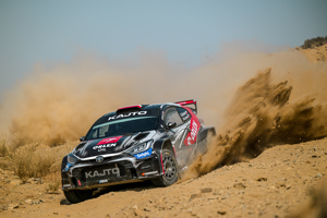 Kajetanowicz Arabia 3